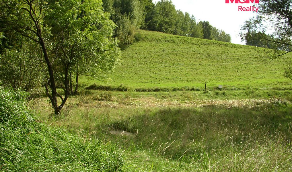Prodej louky 2 749 m², Janův Důl – náhled fotky 5