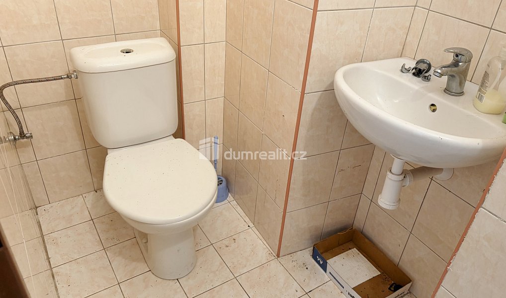 Prodej domu 464 m² s pozemkem 464 m², Borovnice – náhled fotky 4
