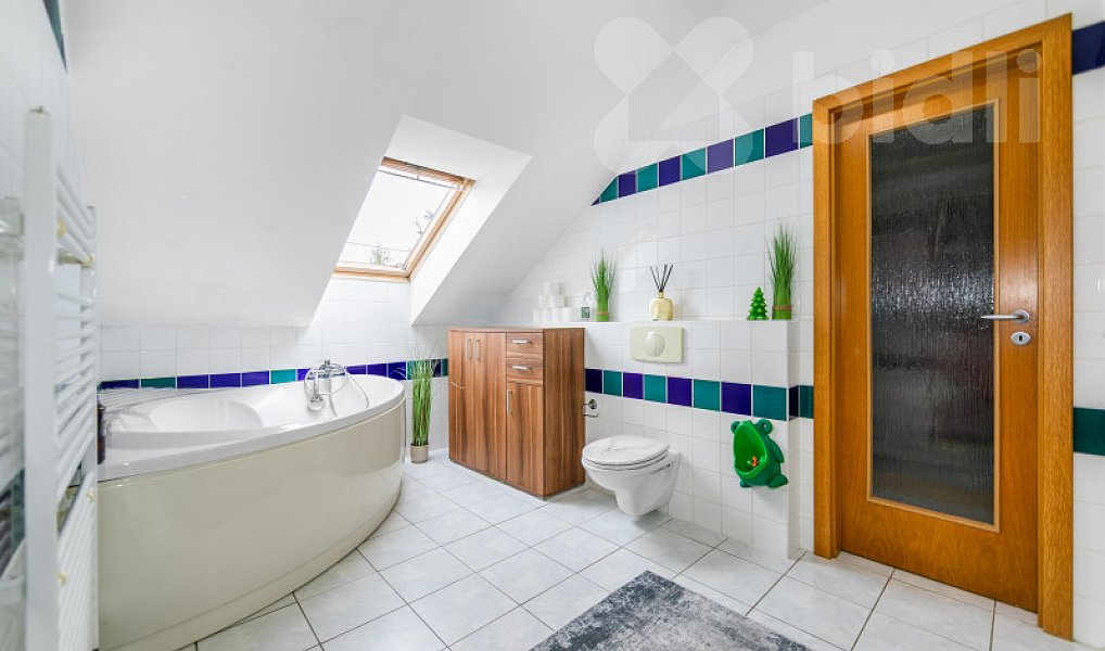 Prodej domu 233 m² s pozemkem 1 063 m², Letkov – náhled fotky 8