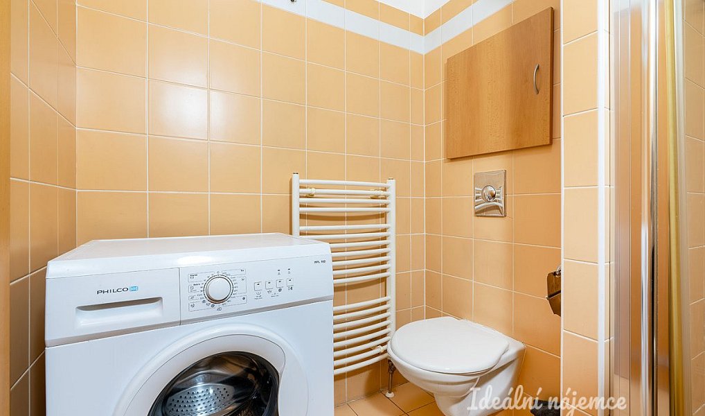 Pronájem bytu 1+kk 32 m², Praha – náhled fotky 5