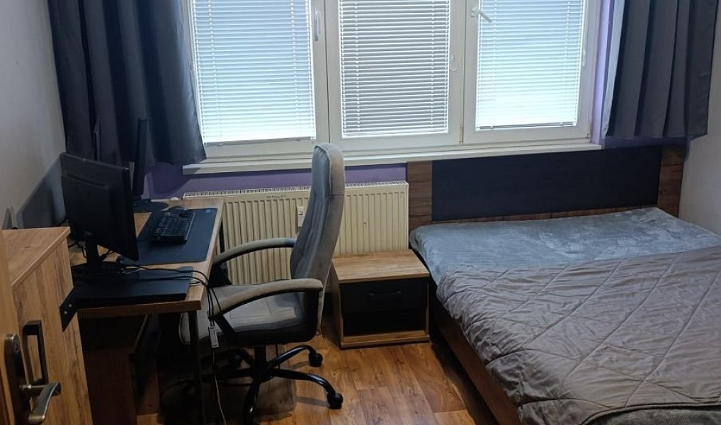 Prodej bytu 3+1 78 m², České Budějovice – náhled fotky 7