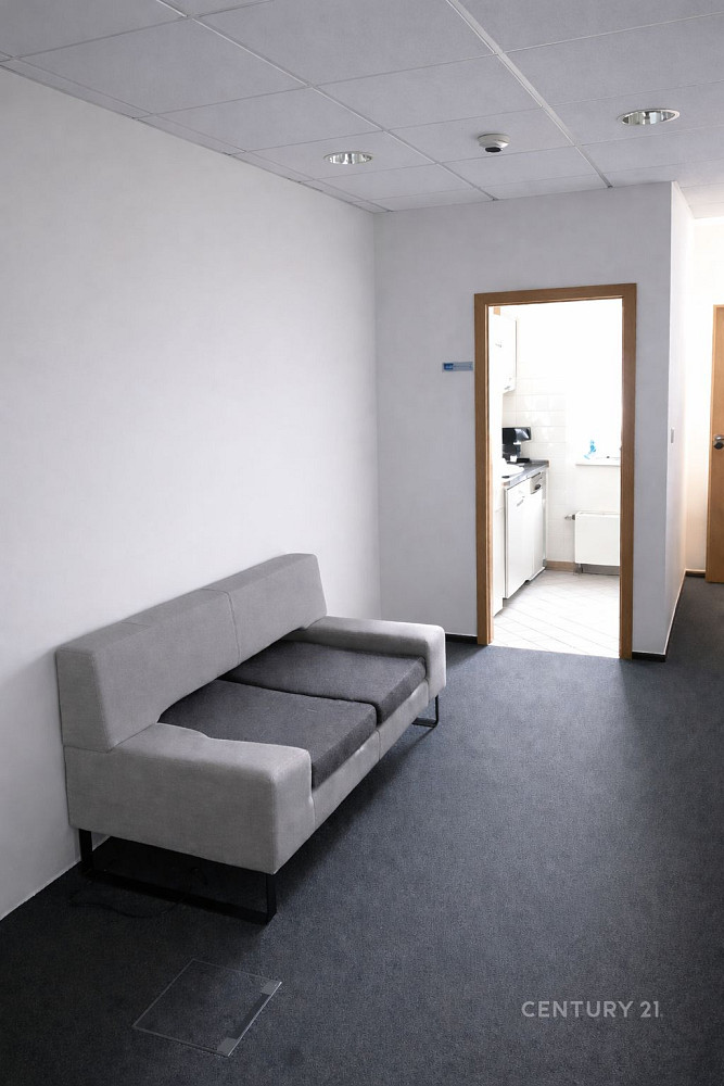 Pronájem kanceláře 175 m² – fotografie 5
