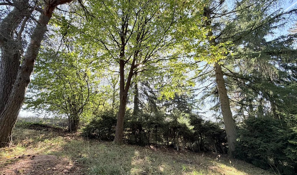 Prodej chaty/chalupy 53 m² s pozemkem 366 m², Borová – náhled fotky 6