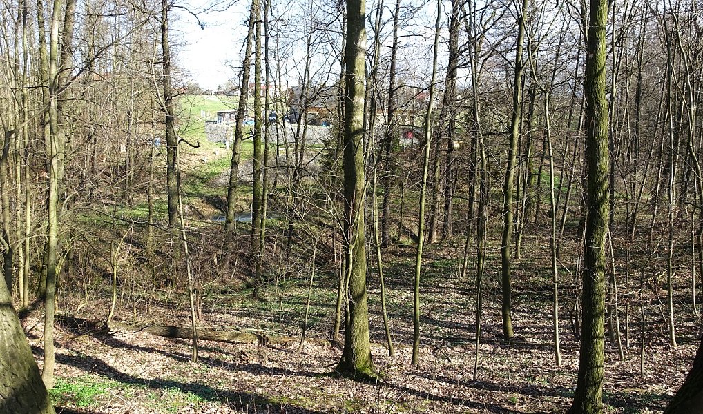 Prodej louky 6 013 m², Bohumín – náhled fotky 12