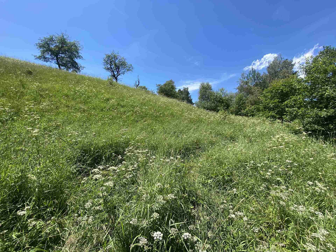 Prodej pole 5 634 m² – fotografie 3