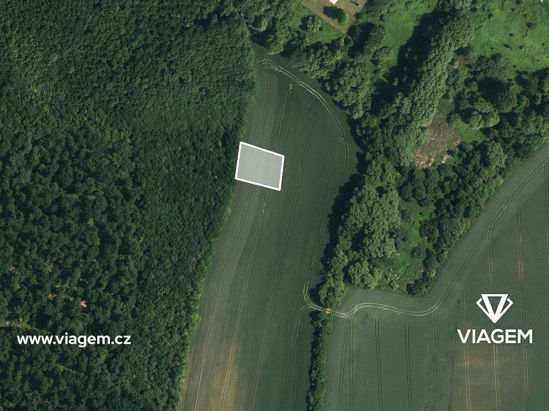 Prodej pole 1 370 m² – fotografie 2
