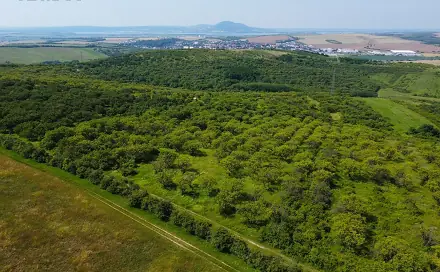 Prodej pozemku 3 780 m², Hustopeče, okres Břeclav