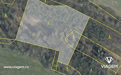 Prodej lesa 3 167 m², Nosálov, okres Mělník