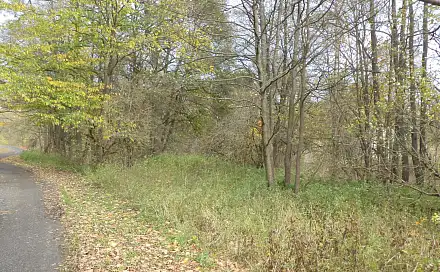 Prodej pozemku 1 691 m², Aš, okres Cheb