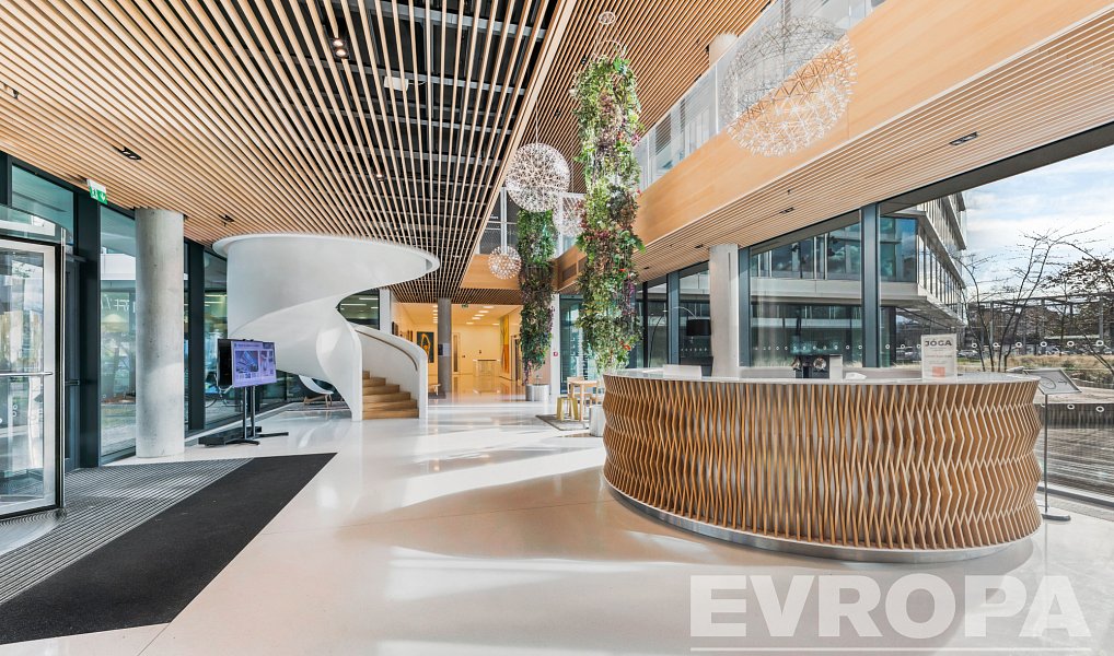 Pronájem kanceláře 648 m², Praha – náhled fotky 3