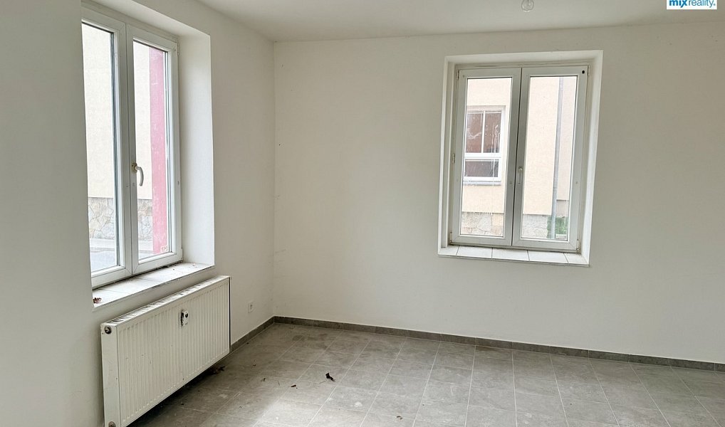 Prodej domu 397 m² s pozemkem 842 m², Heřmanova Huť – náhled fotky 5