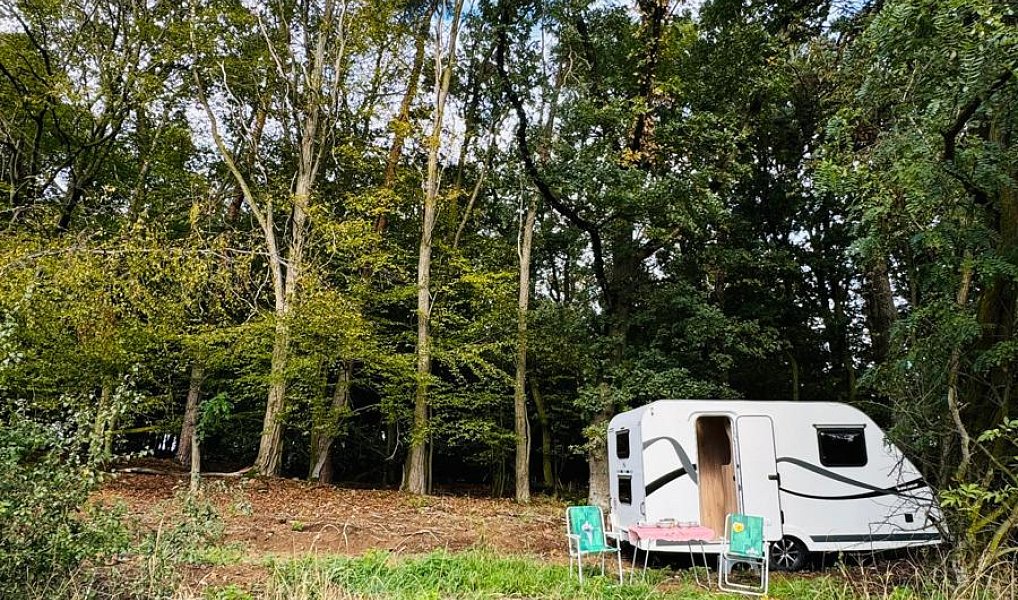 Prodej lesa 893 m², Postupice – náhled fotky 3