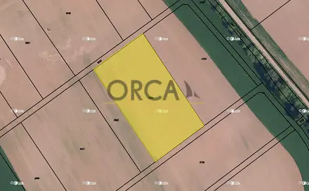 Prodej pole 5 316 m², Lomnice nad Popelkou, okres Semily