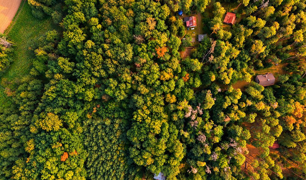 Prodej stavebního pozemku 4 383 m², Hradištko – náhled fotky 3