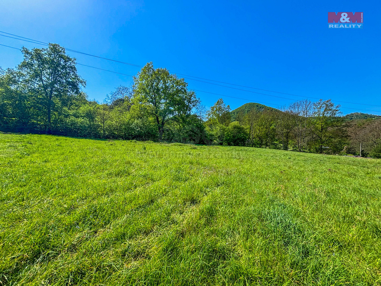 Prodej louky 1 543 m² — photo 2