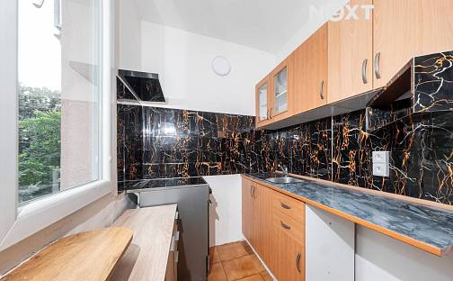 Pronájem bytu 1+kk 30 m², Prodloužená, Pardubice - Polabiny