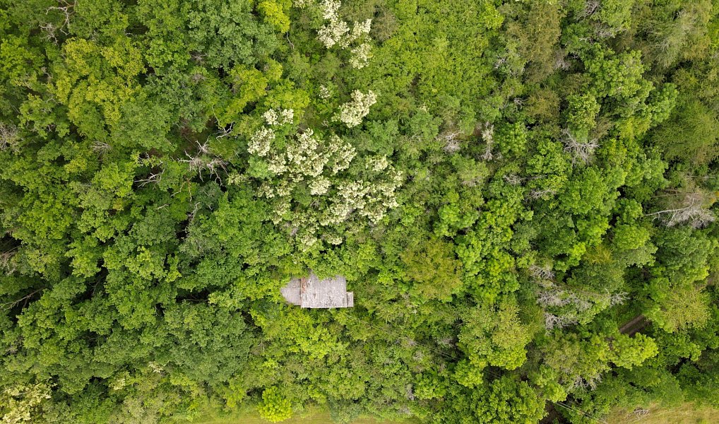 Prodej stavebního pozemku 1 000 m², Vráž – náhled fotky 9