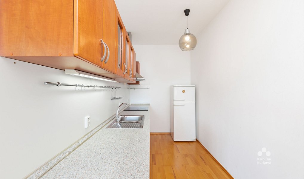 Pronájem bytu 1+kk 55 m², Praha – náhled fotky 6