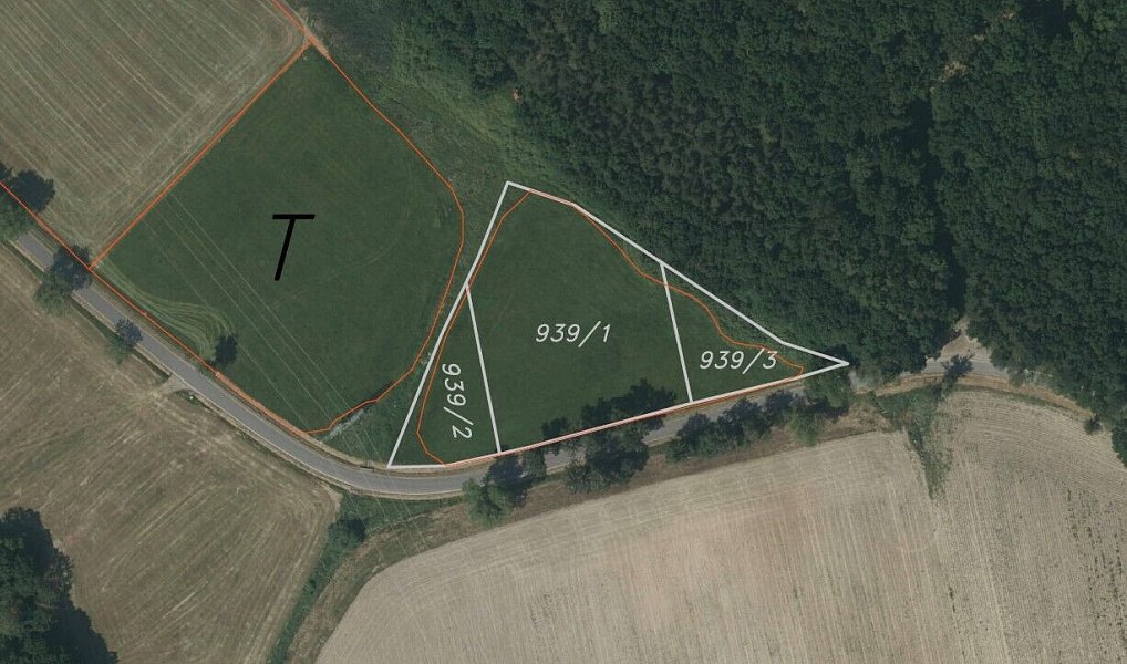 Prodej pole 6 021 m², Vodňany – náhled fotky 3