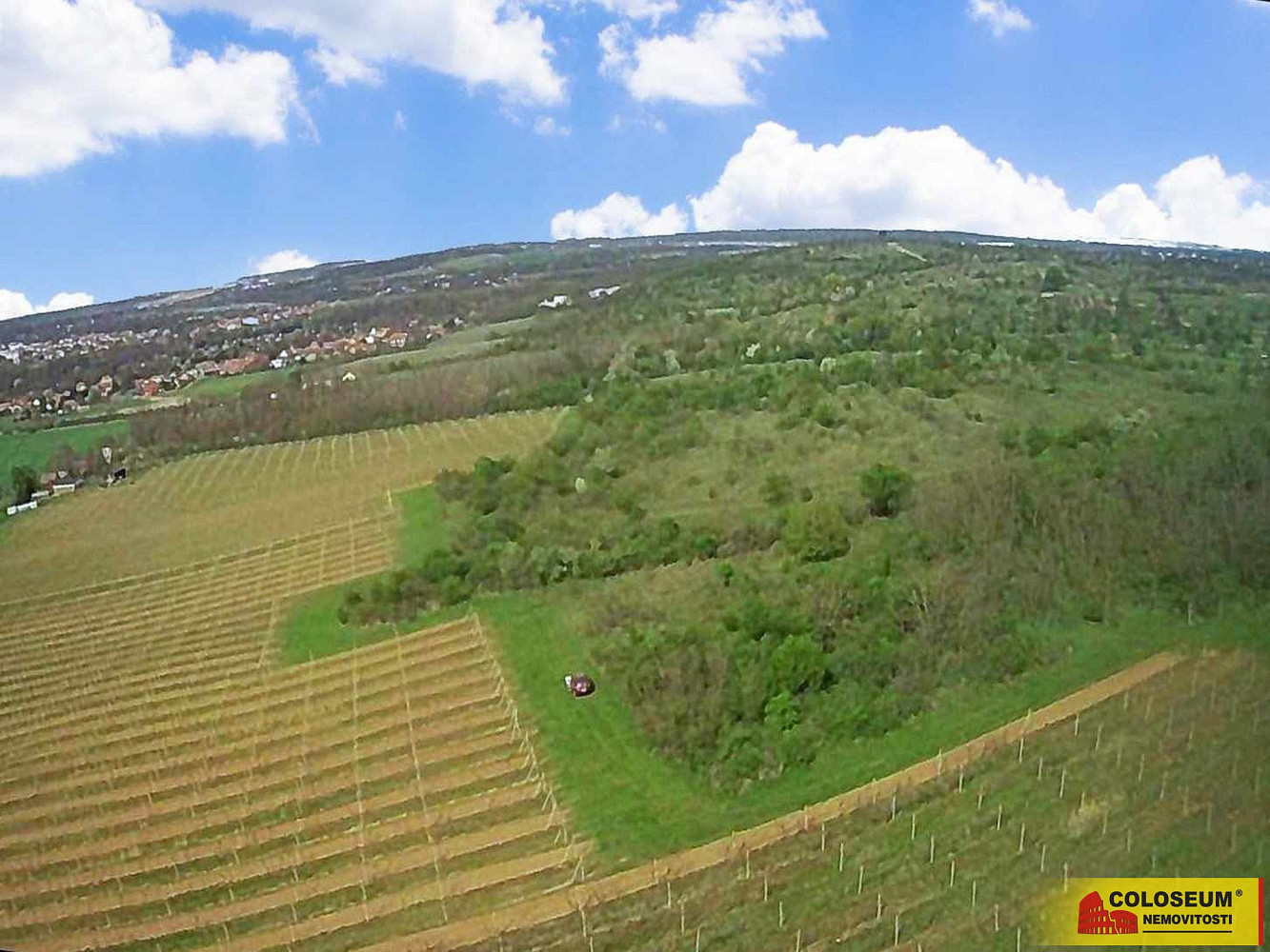 Prodej pozemku 16 843 m²