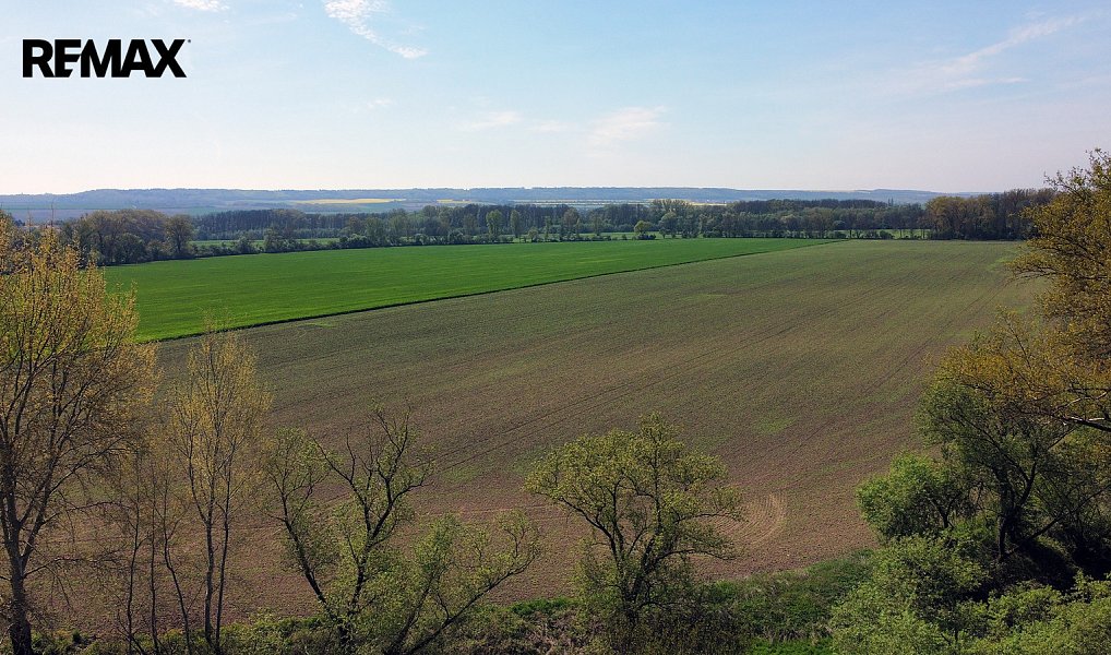Prodej zemědělského objektu 2 500 m², Počedělice – náhled fotky 46