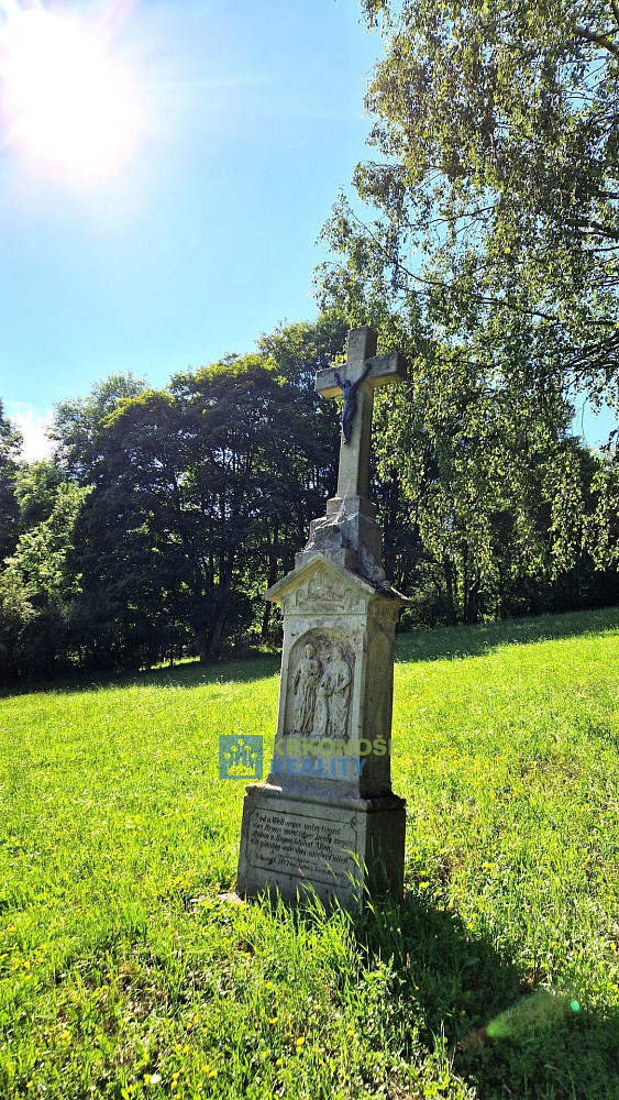 Prodej podílu 1/2 pozemky - trvalý travní porost, 68 585 m² - Trutnov - Babí – pohled 3