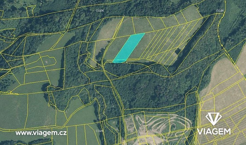 Prodej pole 972 m², Životice u Nového Jičína – náhled fotky 3