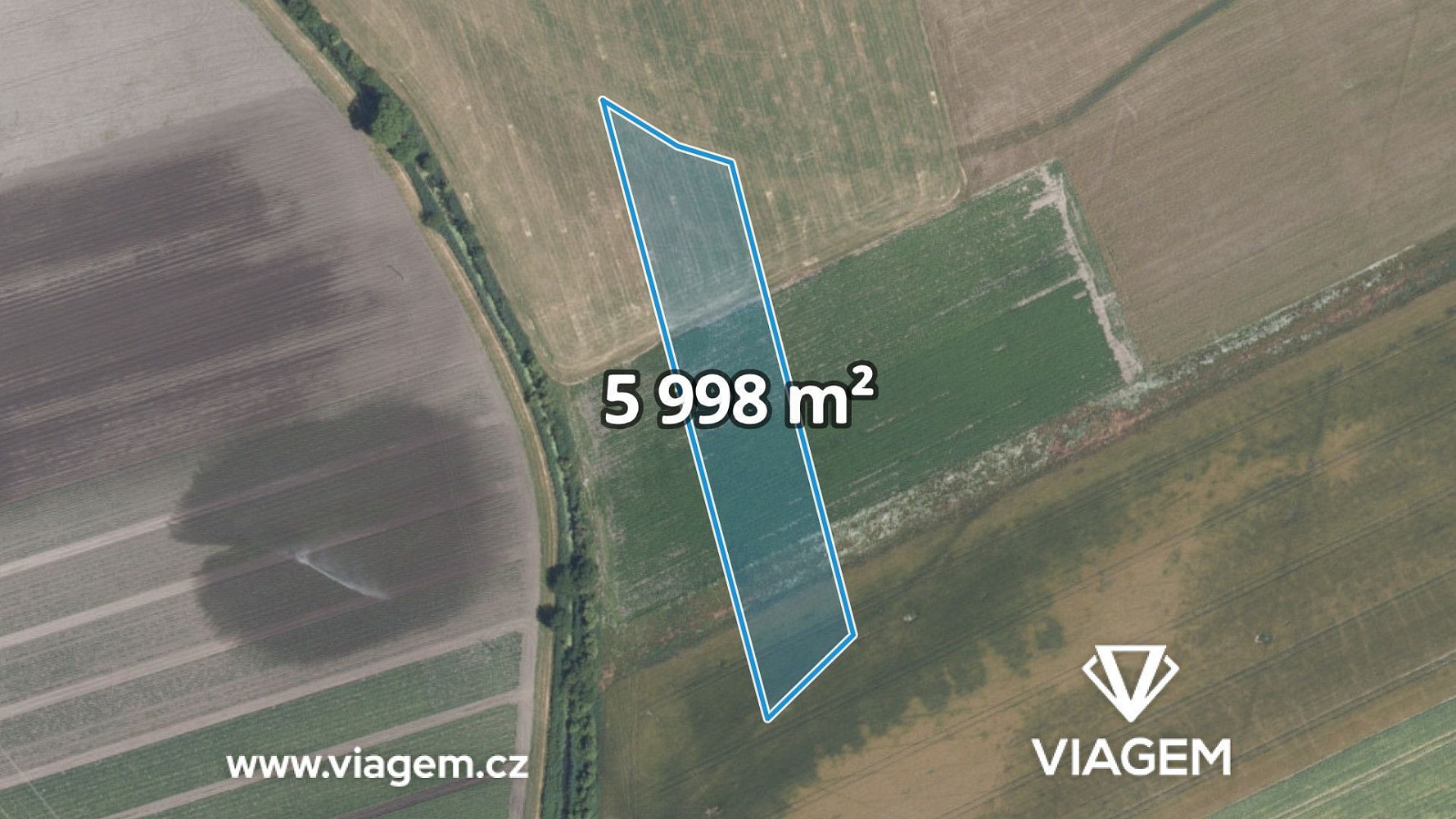 Prodej pole 5 998 m²