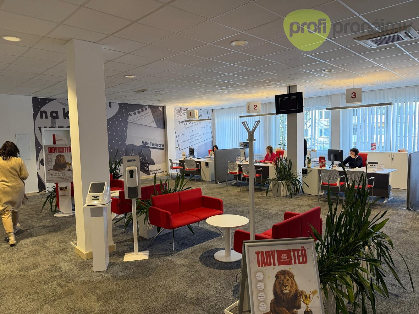 Pronájem obchodních prostor 260 m²