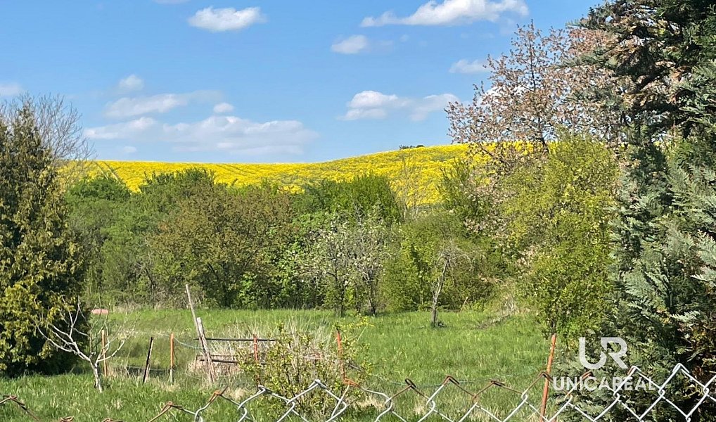 Prodej stavebního pozemku 965 m², Kojátky – náhled fotky 2