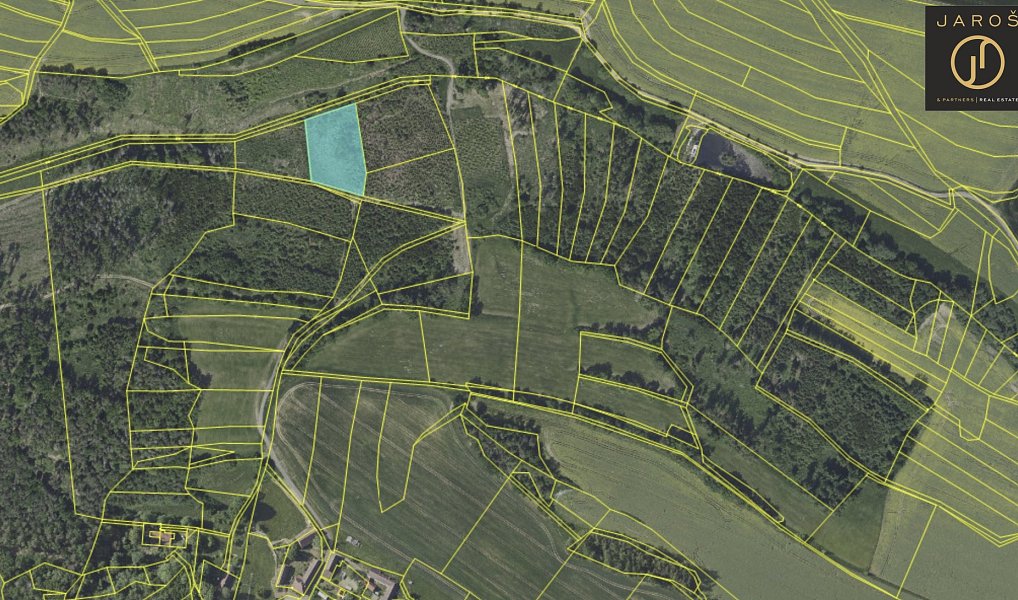 Prodej lesa 4 064 m², Tehov – náhled fotky 4