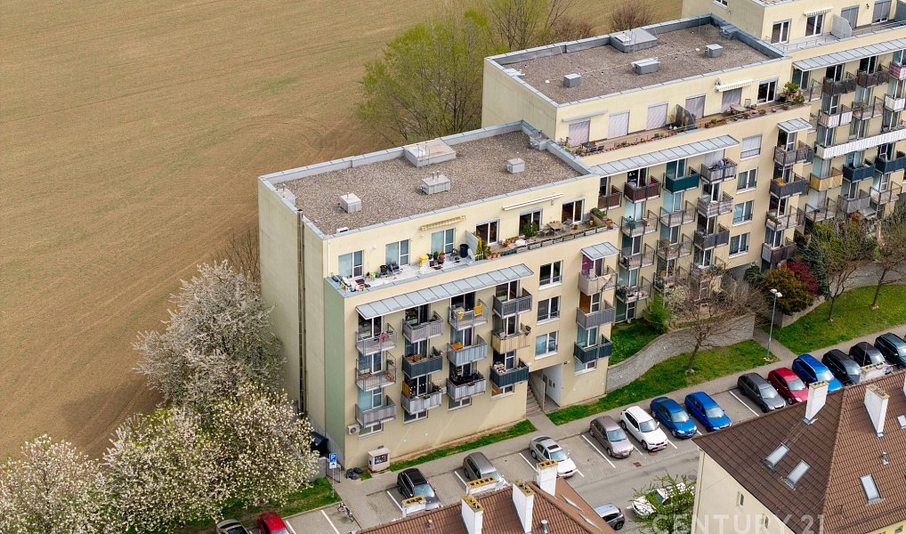 Prodej bytu 2+kk 56 m², Brno – náhled fotky 14