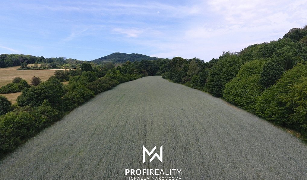 Prodej pole 30 547 m², Stružnice – náhled fotky 12