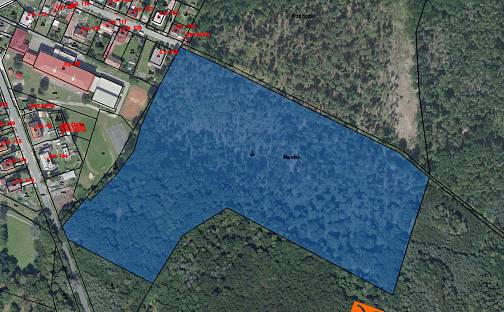 Prodej lesa 3 812 m², Býchory, okres Kolín