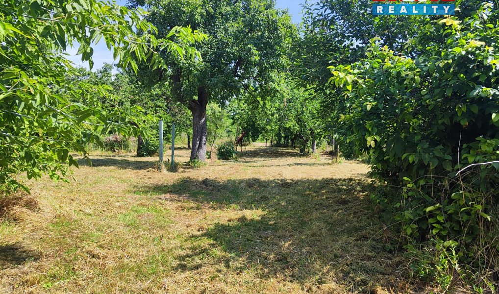 Prodej domu 120 m² s pozemkem 2 878 m², Blatnice pod Svatým Antonínkem – náhled fotky 9