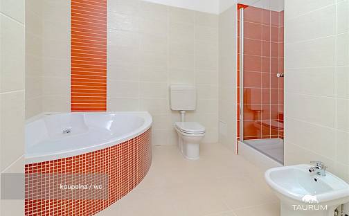 Prodej bytu 2+1 74 m², Rozvojová zóna, Janovice nad Úhlavou, okres Klatovy