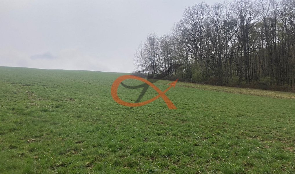 Prodej stavebního pozemku 9 208 m², Háj ve Slezsku – náhled fotky 15