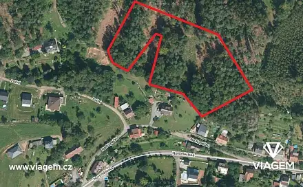 Prodej lesa 6 349 m², Náchod