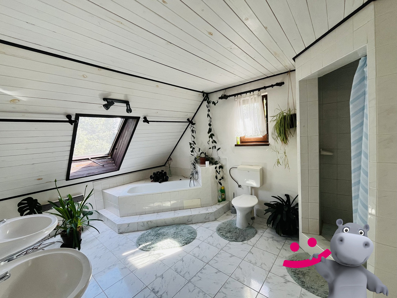 Prodej ubytovacího objektu 446 m² – fotografie 4