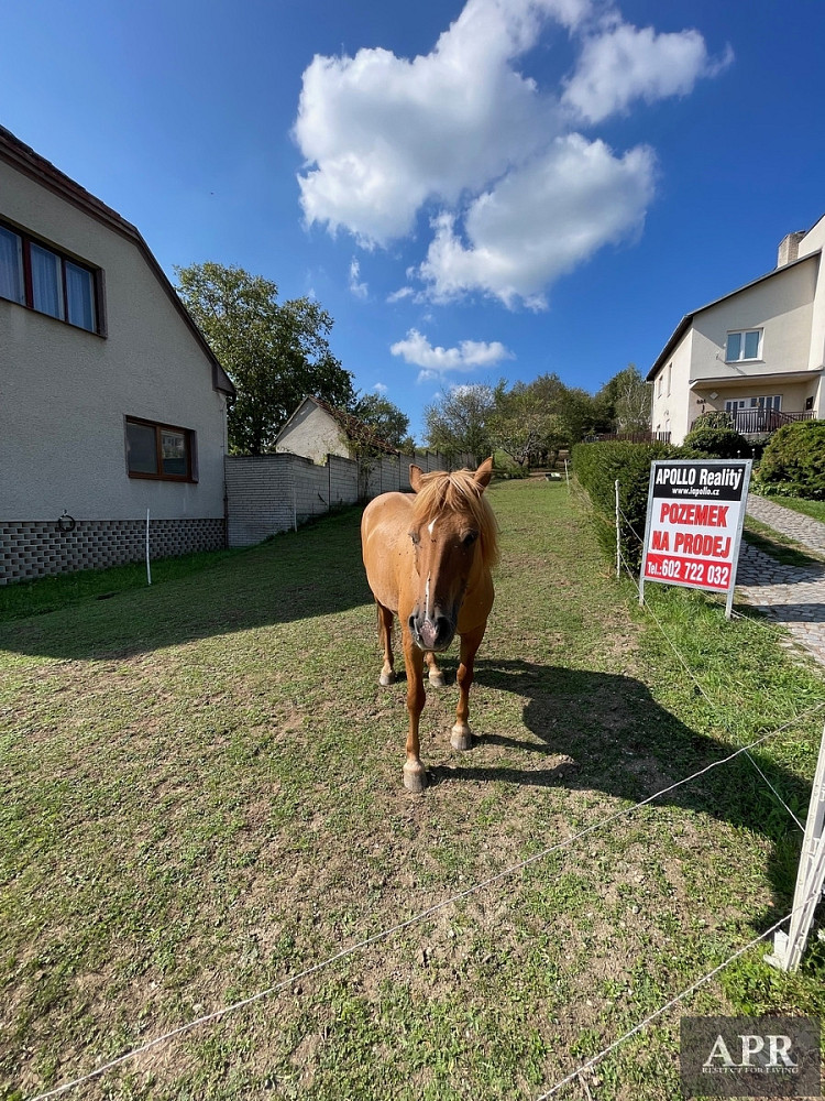 Prodej stavebního pozemku 1 279 m² – pohled 6