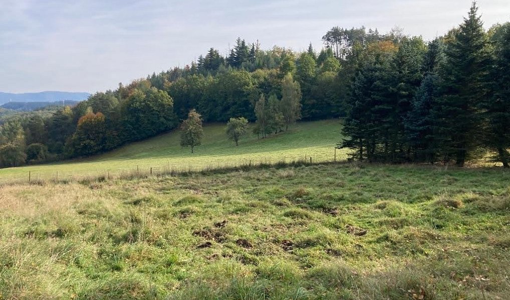 Prodej stavebního pozemku 1 390 m², Děčín – náhled fotky 2