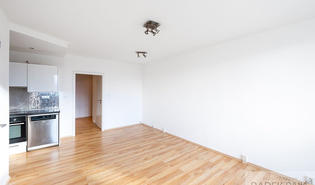 Pronájem bytu 1+1 48 m², Praha – náhled fotky 8