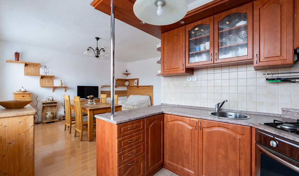 Pronájem bytu 2+kk 53 m², Teplice – náhled fotky 6
