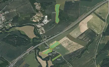 Prodej louky 59 266 m², Starý Plzenec, okres Plzeň-město
