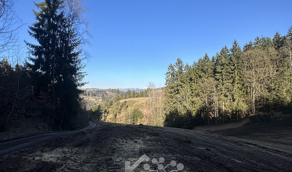 Prodej louky 15 029 m², Bozkov – náhled fotky 8