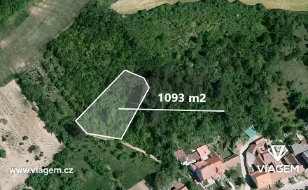 Ostatní