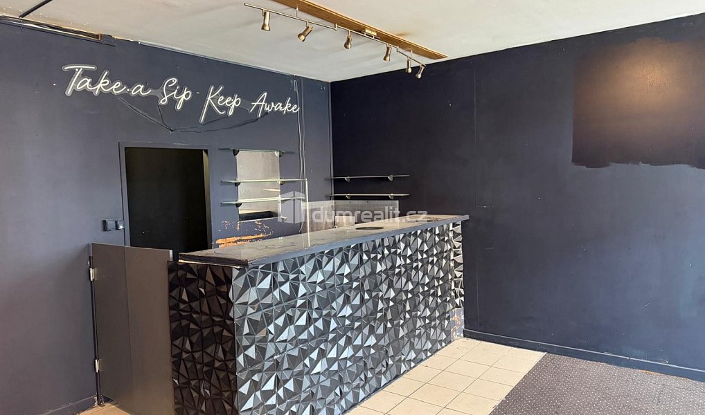 Pronájem obchodních prostor 72 m², Zruč nad Sázavou – náhled fotky 3