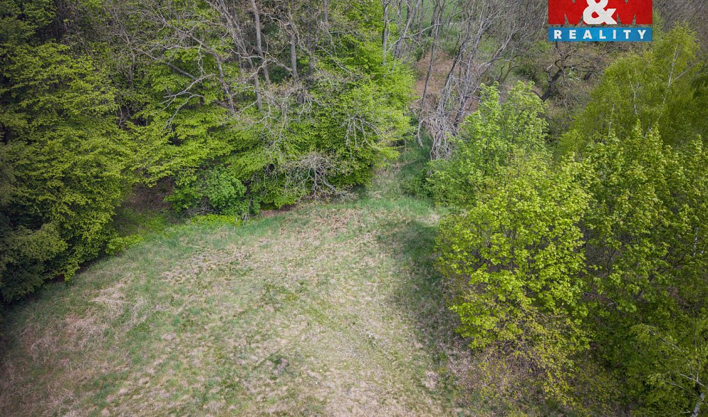 Prodej lesa 909 m², Trhové Dušníky – náhled fotky 7