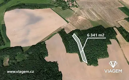 Prodej lesa 2 021 m², Koloveč, okres Domažlice