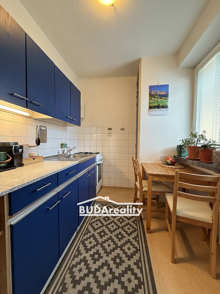 Pronájem bytu 1+1 43 m² – fotografie 3